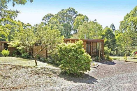 Property photo of 49 Red Road Gembrook VIC 3783