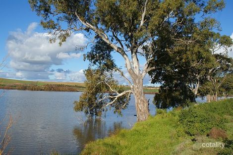 40 Apex Rd, Swanport, SA 5253