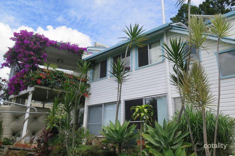 Property photo of 23 Ewing Street Murwillumbah NSW 2484