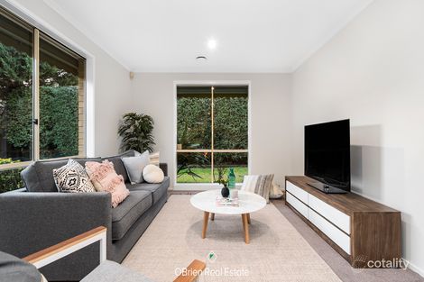 Property photo of 13 Wheatland Crescent Dingley Village VIC 3172