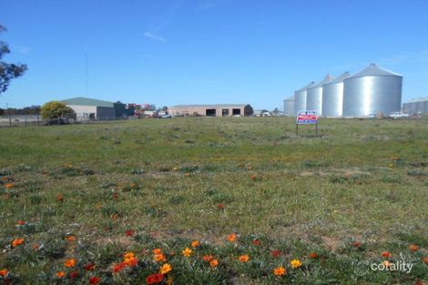 57 Parkman Ave, Barham, NSW 2732