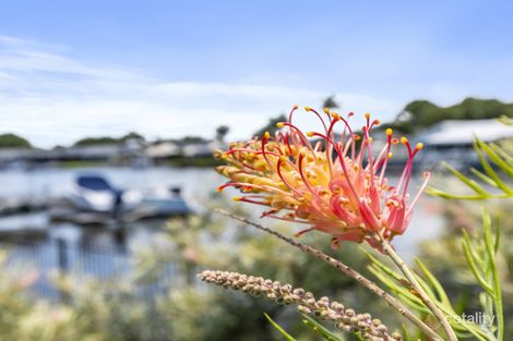 Property photo of 53 Jacaranda Drive Bongaree QLD 4507