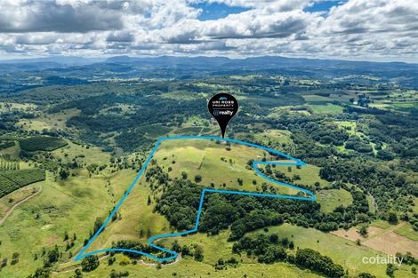 89a Bentley Rd, Tullera, NSW 2480