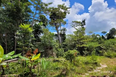 Lot 213 Kelly Rd, Ellinjaa, QLD 4886