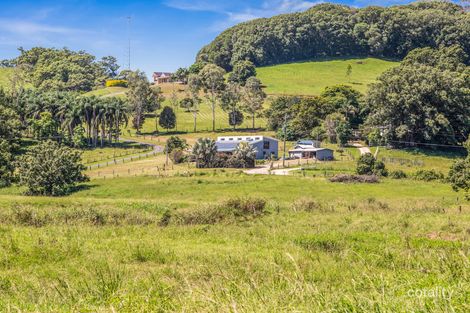 Property photo of 6 Blackwoods Road Nobbys Creek NSW 2484