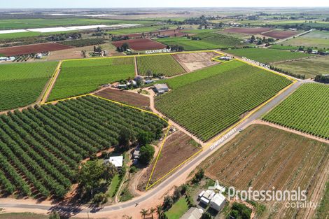 160 Dumosa St, Red Cliffs, VIC 3496