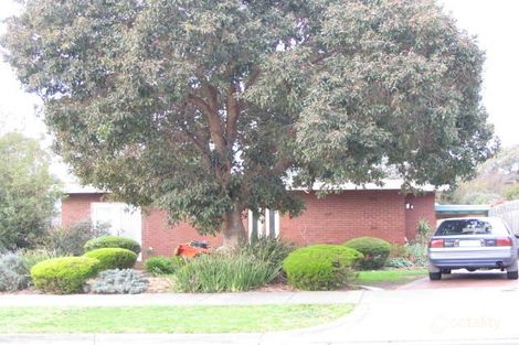 46 Barnes Ave, Burwood, VIC 3125