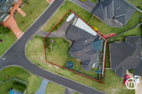 Property photo of 6 Black Bean Grove Ulladulla NSW 2539