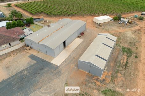 5 Murray Ave, Red Cliffs, VIC 3496