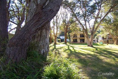 Property photo of 31 Malvern Road Lemon Tree Passage NSW 2319