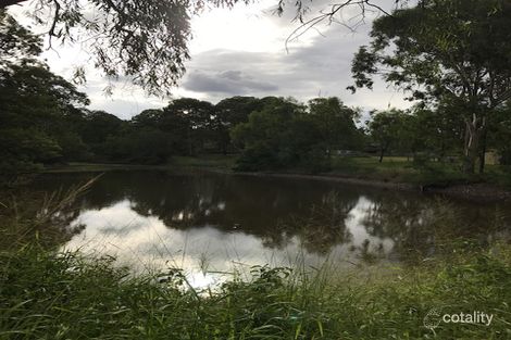 Property photo of 117 Jones Road Withcott QLD 4352