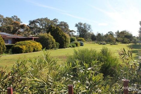 Property photo of 6 Hameister Court Kalbeeba SA 5118