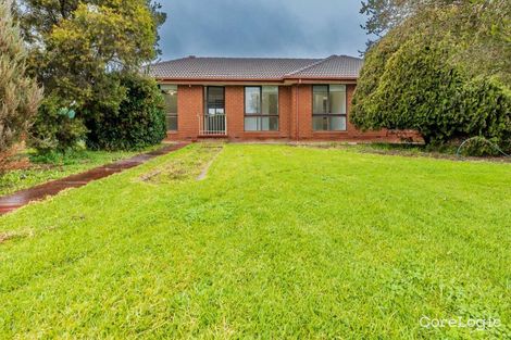 Property photo of 1 Mac Trebley Place Culcairn NSW 2660