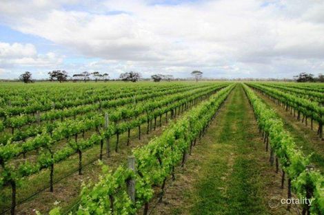 50 Mile Lane, Mundulla, SA 5270