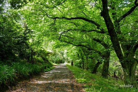 Property photo of 4 Jacksons Hill Road Menzies Creek VIC 3159