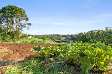 Property photo of 46 Johnson Road Mapleton QLD 4560