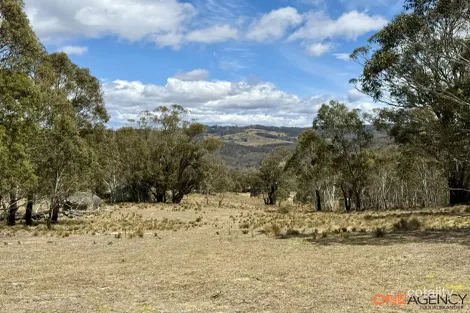 Property photo of 125 Fistys Lane Jerangle NSW 2630