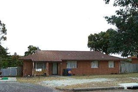 3 Bellingham St, Spencer Park, WA 6330