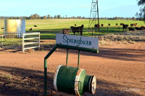 288 Flora Reserve Rd, Gilgandra, NSW 2827