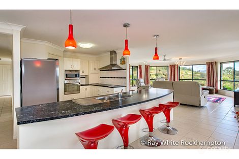 Property photo of 13 Trenwith Terrace Rockyview QLD 4701