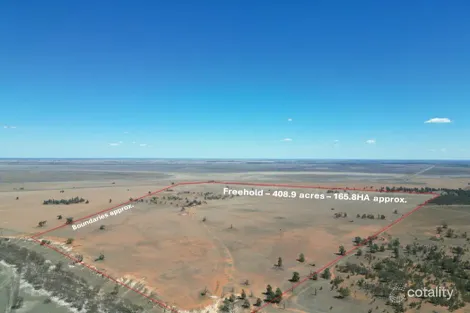 Cocketgedong Rd, Urana, NSW 2645