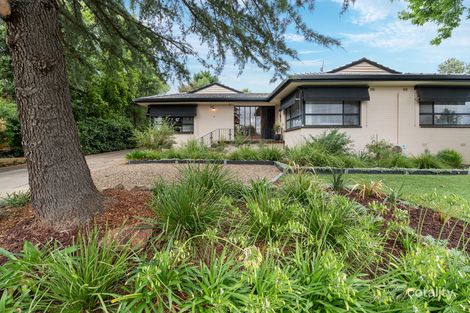 Property photo of 4 Coogan Street Mount Austin NSW 2650