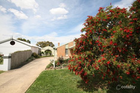 6 Waurn Park Ct, Belmont, VIC 3216