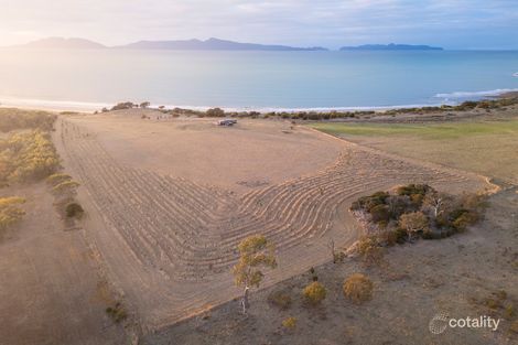 Property photo of 13054 Tasman Highway Swansea TAS 7190