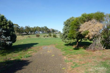 Property photo of 8 Pine Tree Avenue Grindelwald TAS 7277