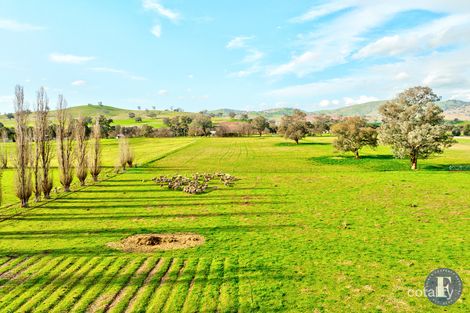 Property photo of 1593 Muttama Road Muttama NSW 2722