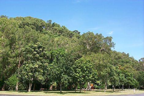 63-67 Aeroglen Dr, Aeroglen, QLD 4870