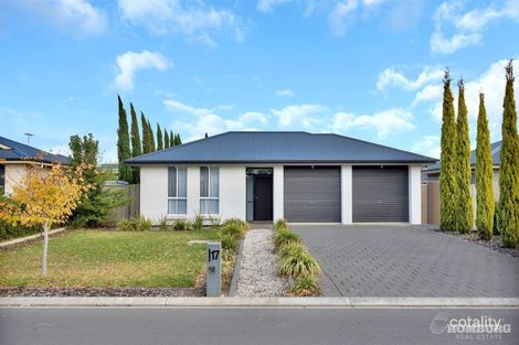 17 Moore Ave, Nuriootpa, SA 5355