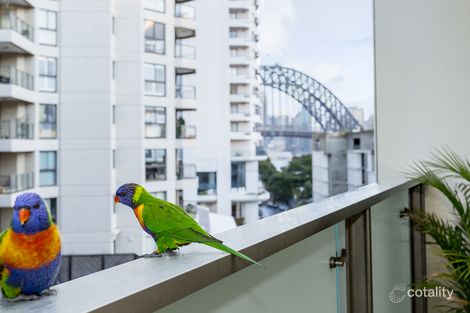 909/8 Glen St, Milsons Point, NSW 2061