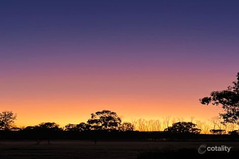 113 Calarie Rd, Forbes, NSW 2871