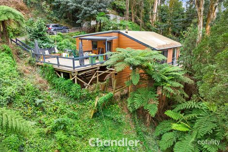 Property photo of 210 Olinda-Monbulk Road Monbulk VIC 3793