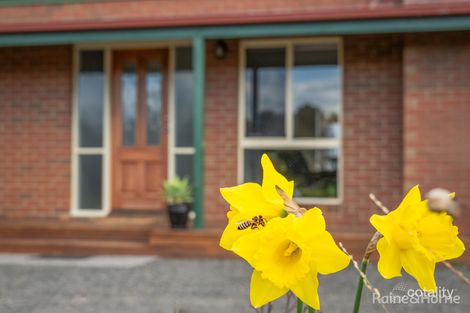 Property photo of 252 Campbell Road Riddells Creek VIC 3431