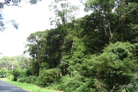 Property photo of 61 Brush Road Wamberal NSW 2260