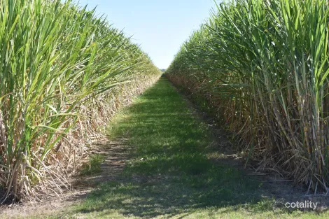 249 Hills Rd, Welcome Creek, QLD 4670