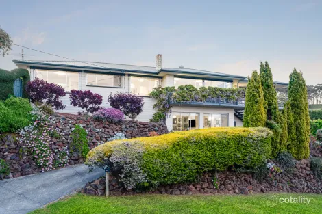 Property photo of 41 Challambra Crescent Highton VIC 3216