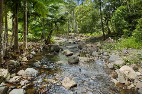 Property photo of 192 Booka Road Upper Crystal Creek NSW 2484