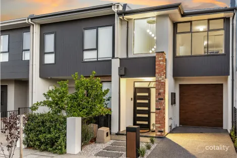 11 Pavy Cl, Lightsview, SA 5085