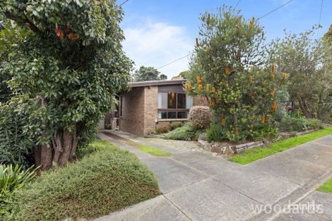 Property photo of 31 White Street Mount Waverley VIC 3149