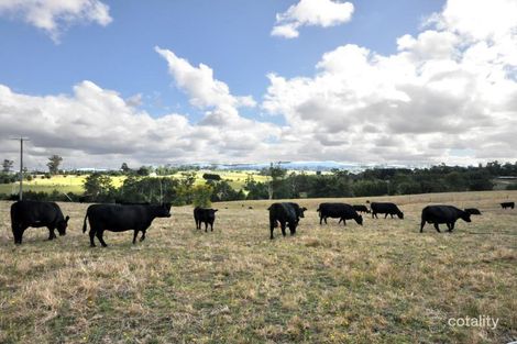 765 Main Neerim Rd, Jindivick, VIC 3818