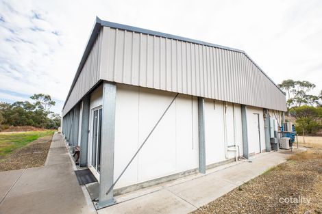 Property photo of 125 Roach Road Lucindale SA 5272