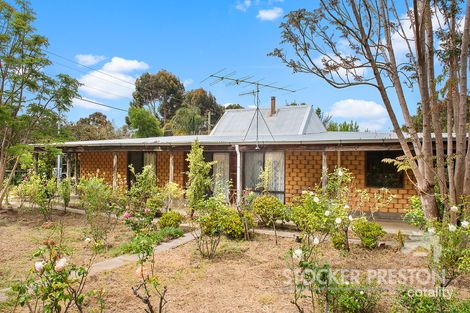 63 Merchant St, Margaret River, WA 6285