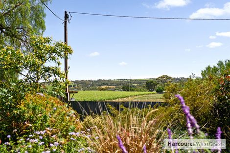 Property photo of 42 Caffrey Street McLaren Vale SA 5171