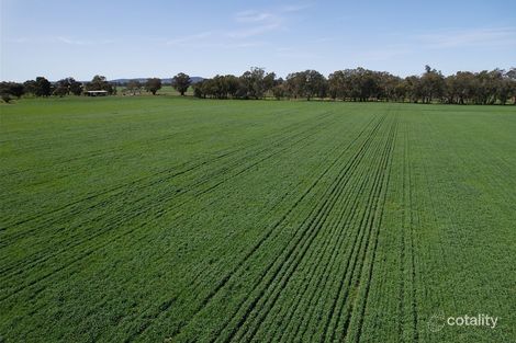 Property photo of 126 Kneebones Road Euberta NSW 2650