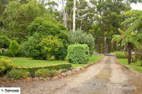 Property photo of 29 River Road Millgrove VIC 3799