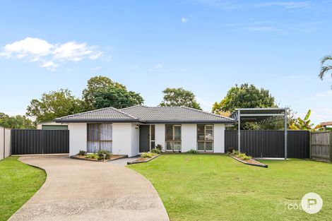 Property photo of 3 Dargo Place Algester QLD 4115