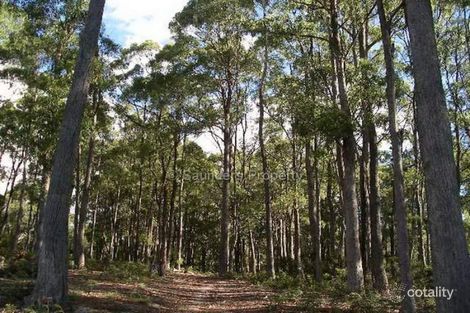 Property photo of 31 Leatherwood Drive Penguin TAS 7316